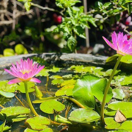 Nimal'S House Hotel Dikwella Ngoại thất bức ảnh